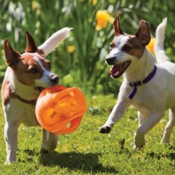 Kong Jumbler Ball Assorti 11 Kong Jumbler Ball Assorti -Dieren Verzorg Verkoopwinkel 0035585034089 met honden