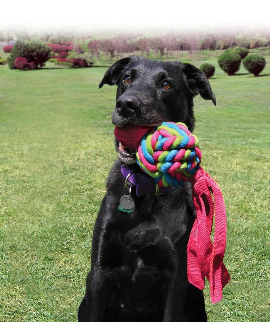 Kong Wubba Weaves Assorti 4 Kong Wubba Weaves Assorti - Image 4