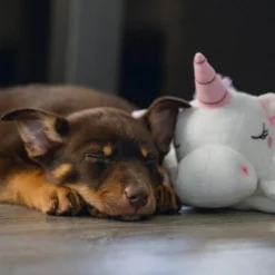 Beeztees Puppy Knuffeldoek Unicorn M 7 Beeztees Puppy Knuffeldoek Unicorn M -Dieren Verzorg Verkoopwinkel 0619491 sfeer3