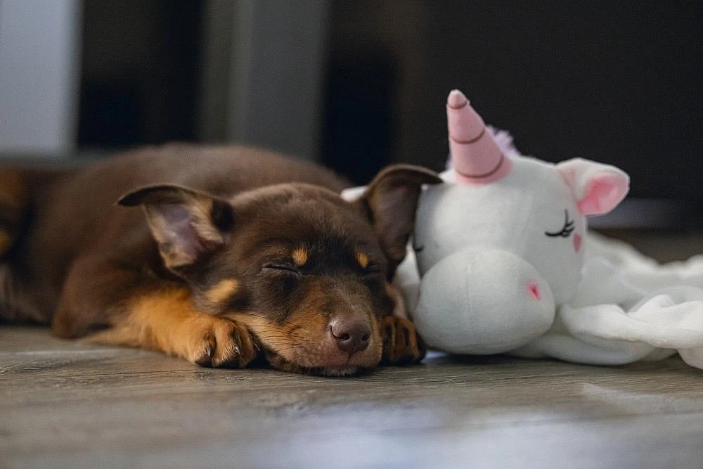 Beeztees Puppy Knuffeldoek Unicorn M 4 Beeztees Puppy Knuffeldoek Unicorn M - Image 4