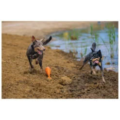 Beeztees Apportino Boei 6 Beeztees Apportino Boei -Dieren Verzorg Verkoopwinkel 0625882 2