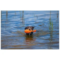 Beeztees Apportino Boei 7 Beeztees Apportino Boei -Dieren Verzorg Verkoopwinkel 0625882 3