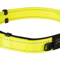 Rogz Beltz Utility Halsband Safety Yellow -Dieren Verzorg Verkoopwinkel RHBS25HDET0