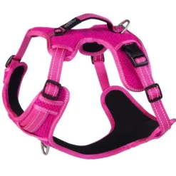 Rogz Hondentuig Explore Pink -Dieren Verzorg Verkoopwinkel RSJX06K DET0