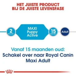 Royal Canin Hondenvoer Maxi Puppy 10 Kg 7 Royal Canin Hondenvoer Maxi Puppy 10 Kg -Dieren Verzorg Verkoopwinkel royal canin maxi puppy active pup hond grote hondenrassen hero image 8