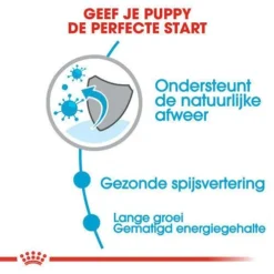 Royal Canin Hondenvoer Maxi Puppy 10 Kg 6 Royal Canin Hondenvoer Maxi Puppy 10 Kg -Dieren Verzorg Verkoopwinkel royal canin maxi puppy pup hond grote hondenrassen hero usp